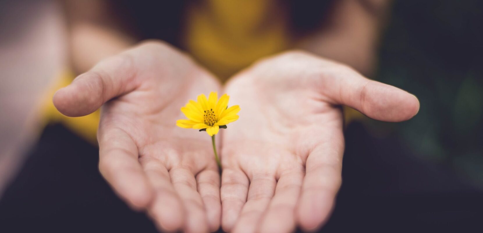 Generous Hands
