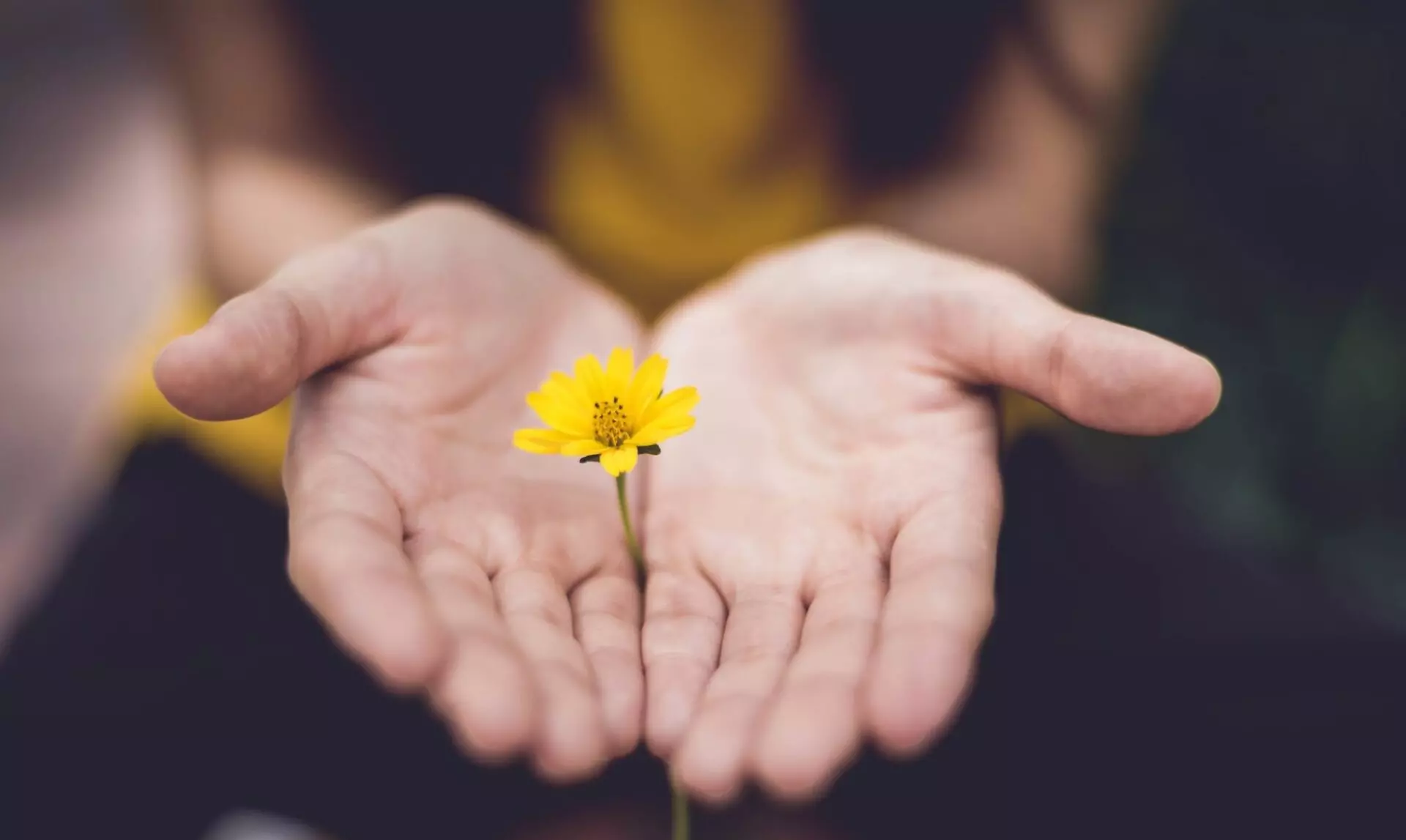 Generous Hands