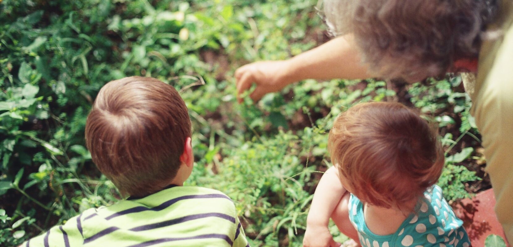 a grandmother and her grandkids out in the garden