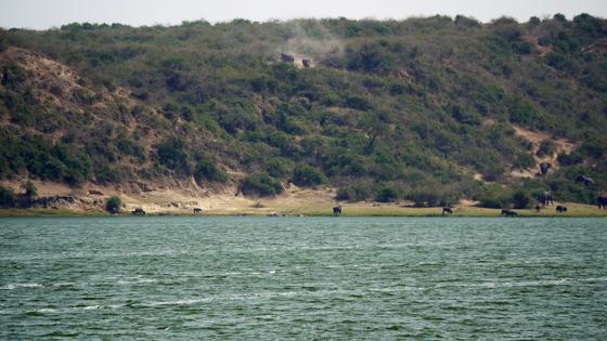 uganda sealine