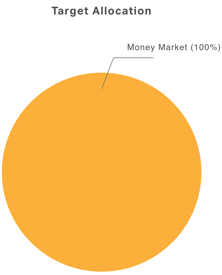 money market target allocation