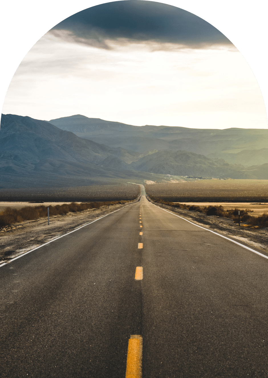 The Signatry Annual Report Road Image
